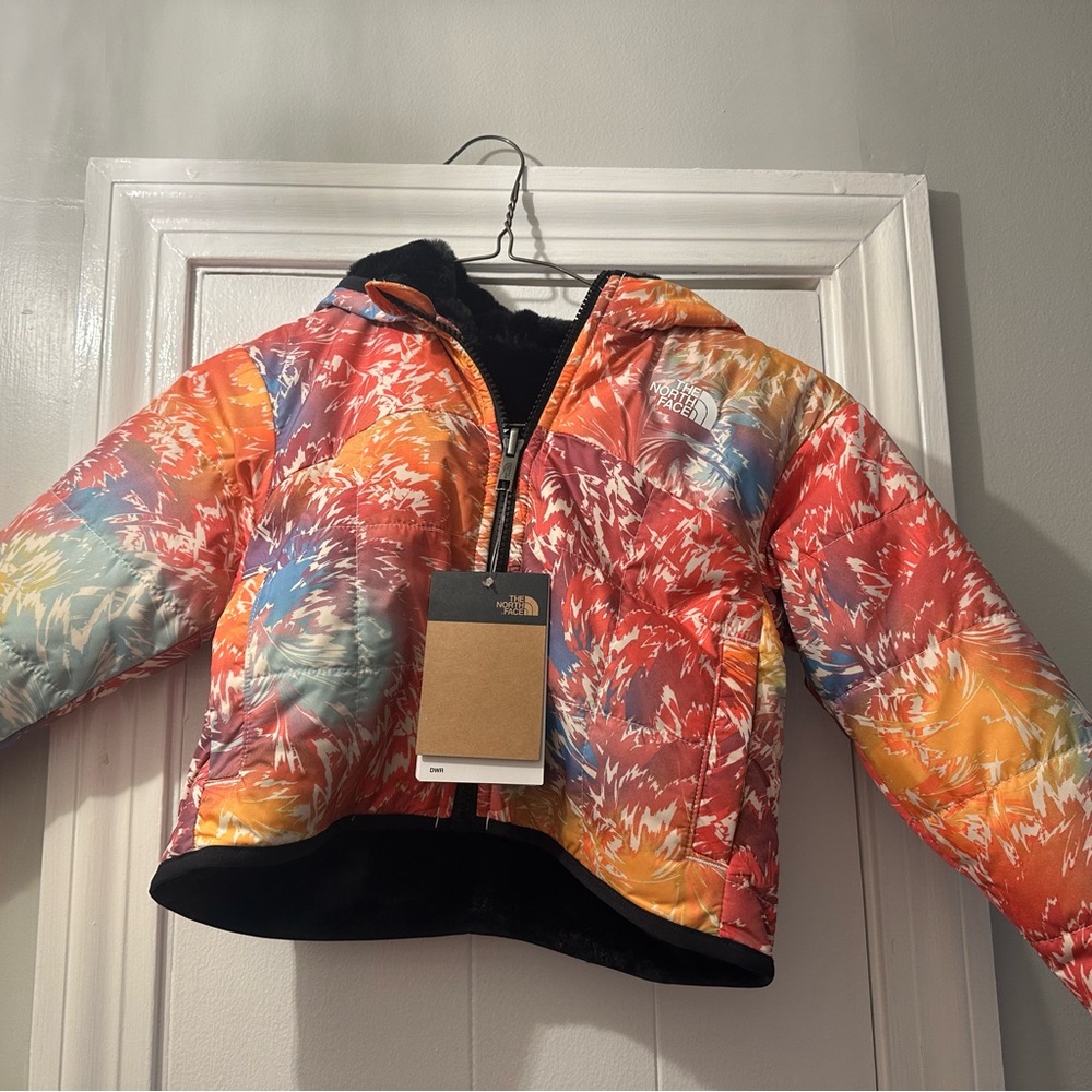 The North Face Puffer Jacket with Hood